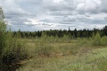 DSC_0076 1_out